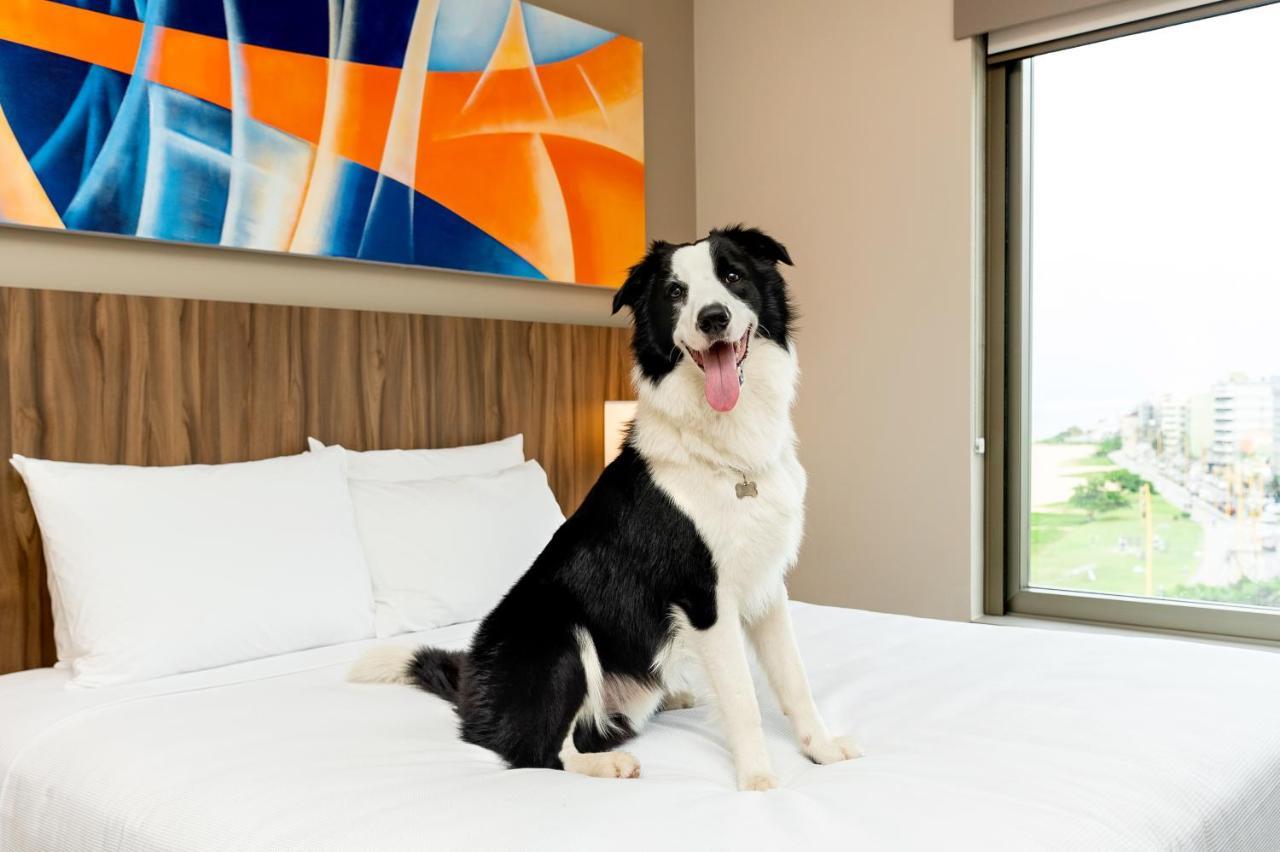 Hyatt Place Macaé Eksteriør billede